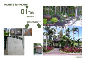 Landscaping Basic Plan of...,"The Renaissance Shore Resort" (2008)