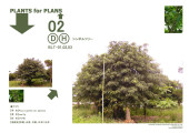 Landscaping Basic Plan of...,"The Renaissance Shore Resort" (2008)