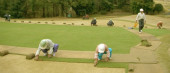 Golf Course Construction and Re-Construction, Maintenance