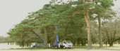 Golf Course Construction and Re-Construction, Maintenance
