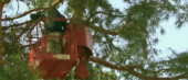 Golf Course Construction and Re-Construction, Maintenance