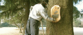 Golf Course Construction and Re-Construction, Maintenance